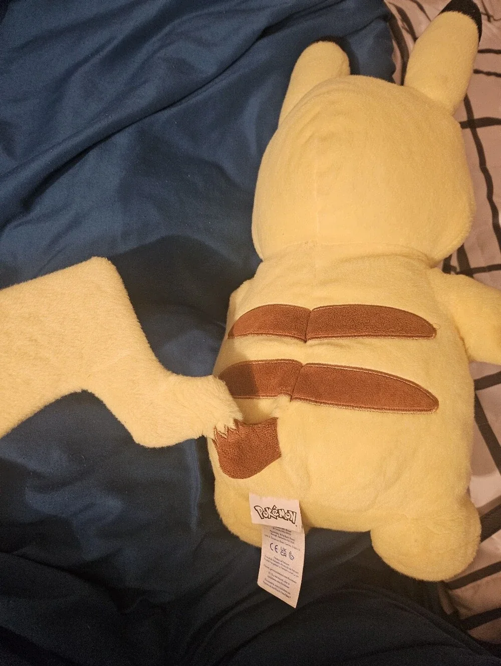Pokemon soft pikachu